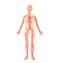 サイクルが早い時