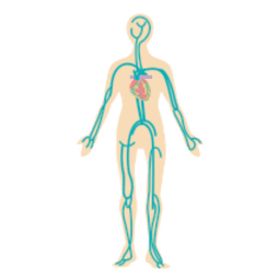 サイクルが遅い時