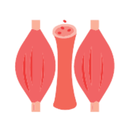 筋肉の質が悪い時